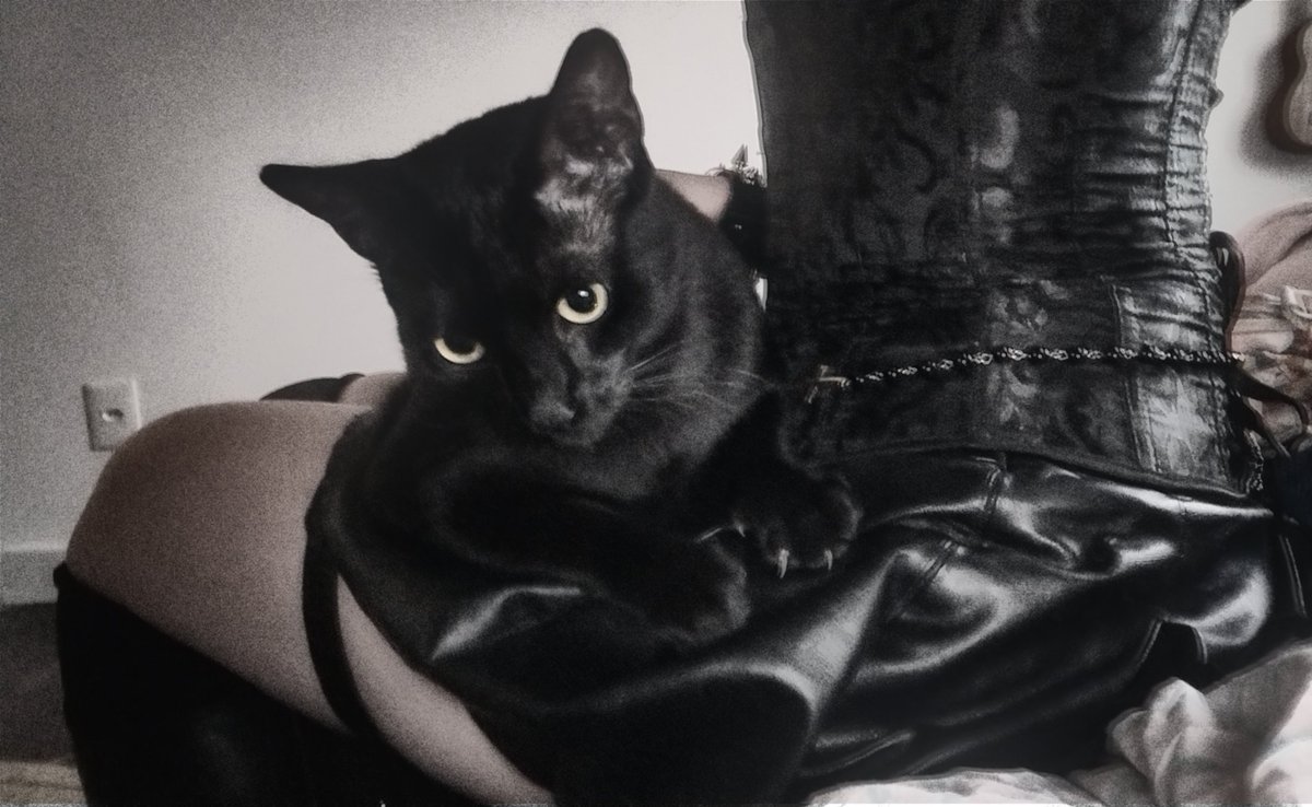 thegothrobin's tweet photo. I look better in the dark. https://t.co/MnzHDgPgjl