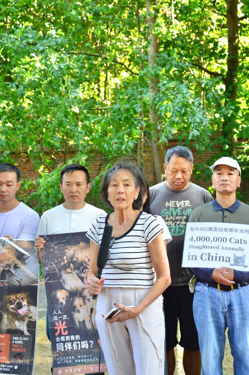 feilung_lau's tweet photo. On August 2, the Chinese Embassy in the Netherlands  #JasticeForWangwang #wangwang https://t.co/PsBfZgWTM2