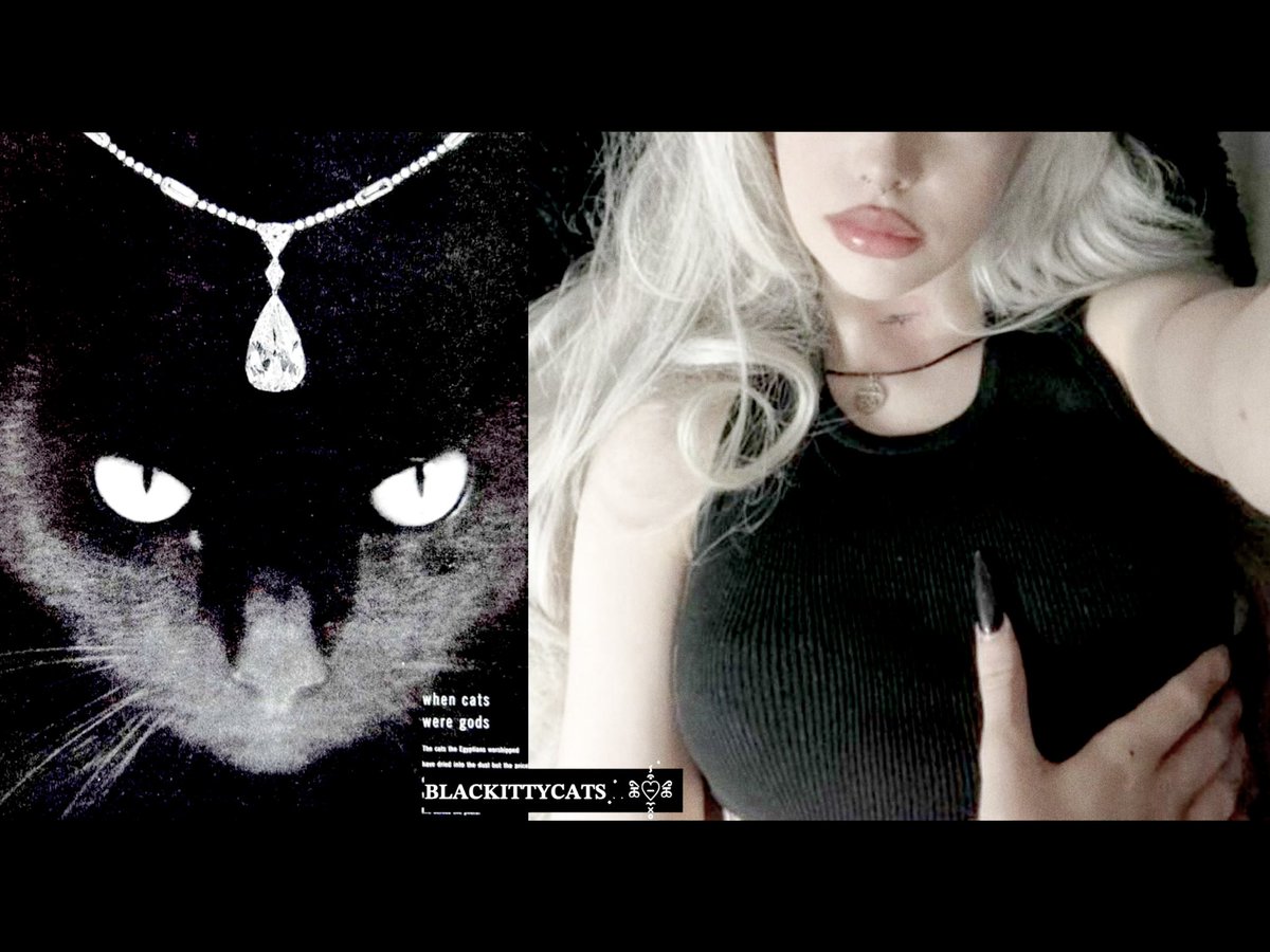 BLACKITTYCATS's tweet photo. ⠀⠀⠀⠀⠀⠀ ⠀⠀⠀⠀⠀⠀ Personally, 𝑫arling, I’ll take 
⠀⠀⠀⠀⠀⠀ ⠀⠀⠀⠀⠀⠀ larceny over 𝑣͟𝑖͟𝑟͟𝑡͟𝑢͟𝑒 every time! ’ ᩠ׄ݁.ི  
⠀⠀⠀⠀⠀⠀ ⠀⠀⠀⠀⠀⠀Felicia Hardy, ̵𝑘̵𝑖̵𝑡̵𝑡̵𝑦̵ ̵𝑐̵𝑎̵𝑡̵
⠀⠀⠀⠀⠀⠀ ⠀⠀⠀⠀⠀⠀#marvelrp https://t.co/LuHpTrahdP