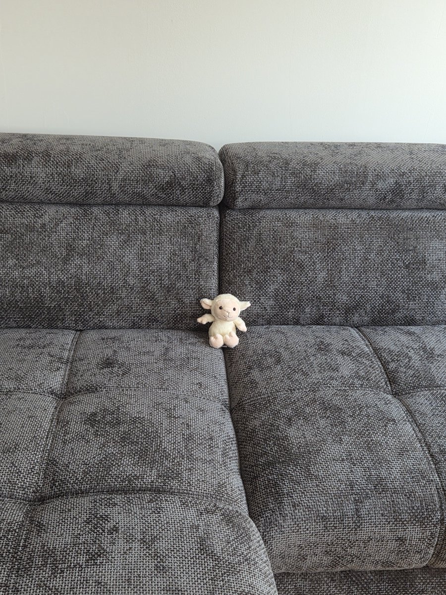woolookuba's tweet photo. One of my favorite picture ever.. Tiny baby sheep plushie on the couch https://t.co/ebXTohpYLA