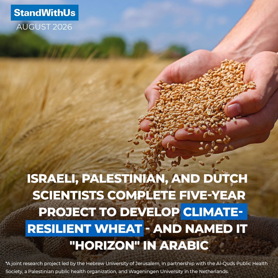 StandWithUs's tweet photo. While the world focused on conflict, Israeli, Palestinian, and Dutch scientists spent five years working side by side on something that could feed the entire region. The project was led by the Hebrew University of Jerusalem, in partnership with the Al-Quds Public Health Society, a Palestinian public health organization, and Wageningen University in the Netherlands. 

Together, they produced a new climate-resilient wheat variety capable of maintaining yields despite rising temperatures and declining rainfall across the Middle East. The team named their new wheat line "Ufuq" - the Arabic word for "horizon." The variety still requires further testing before it can reach farmers, but researchers say the need is urgent: climate models project hotter, drier growing seasons across the Mediterranean basin for decades to come. 

This is already the fourth Israeli-Palestinian research collaboration of its kind since 2012 - and it won't be the last. "Food security is a challenge that transcends borders," said lead researcher Prof. Zvi Peleg.