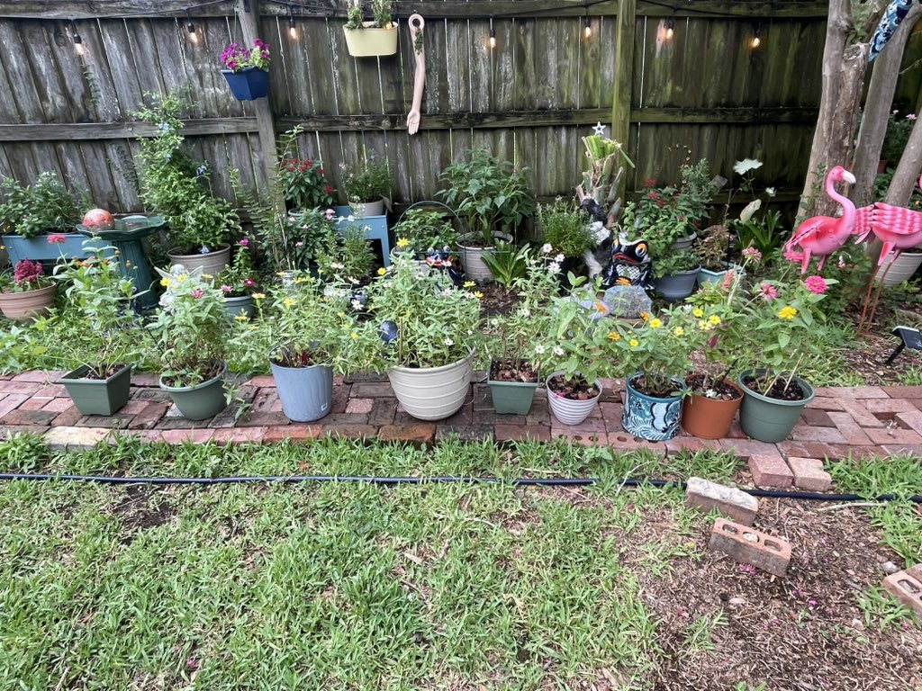 JustLeslieCat's tweet photo. Doing a little garden maintenance since it’s almost pleasant out https://t.co/iJ6lvKgG2e