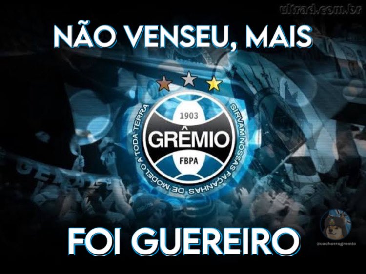 Cachorro Gremista🇪🇪 𓃥 tweet media