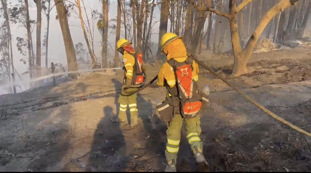 BomberosQuito's tweet photo. 🔄 #Actualización | Nuestro equipo de combate de incendios forestales continúa en el sector El Quinche realizando labores de control del incendio forestal registrado en la zona.

🚒 Las acciones operativas se mantienen enfocadas en evitar la propagación del fuego y reducir posibles afectaciones. Las condiciones metereológicas y la topografía del terreno han dificultado las labores de extinción, sin embargo nos mantenemos en el sitio.

⚠️ Recordamos a la ciudadanía que las quemas de vegetación seca representan un alto riesgo, especialmente en zonas rurales y agrícolas. Una decisión irresponsable puede poner en peligro vidas, viviendas y nuestros ecosistemas.

#NoticiaEnDesarrollo