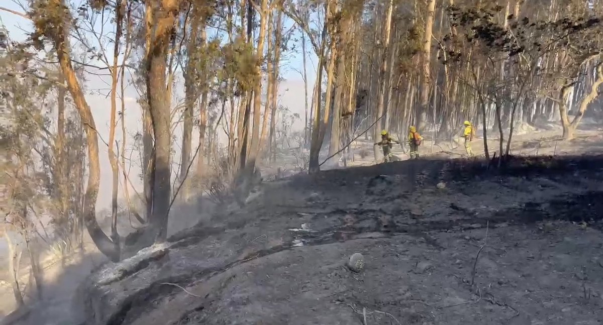 BomberosQuito's tweet photo. 🔄 #Actualización | Nuestro equipo de combate de incendios forestales continúa en el sector El Quinche realizando labores de control del incendio forestal registrado en la zona.

🚒 Las acciones operativas se mantienen enfocadas en evitar la propagación del fuego y reducir posibles afectaciones. Las condiciones metereológicas y la topografía del terreno han dificultado las labores de extinción, sin embargo nos mantenemos en el sitio.

⚠️ Recordamos a la ciudadanía que las quemas de vegetación seca representan un alto riesgo, especialmente en zonas rurales y agrícolas. Una decisión irresponsable puede poner en peligro vidas, viviendas y nuestros ecosistemas.

#NoticiaEnDesarrollo