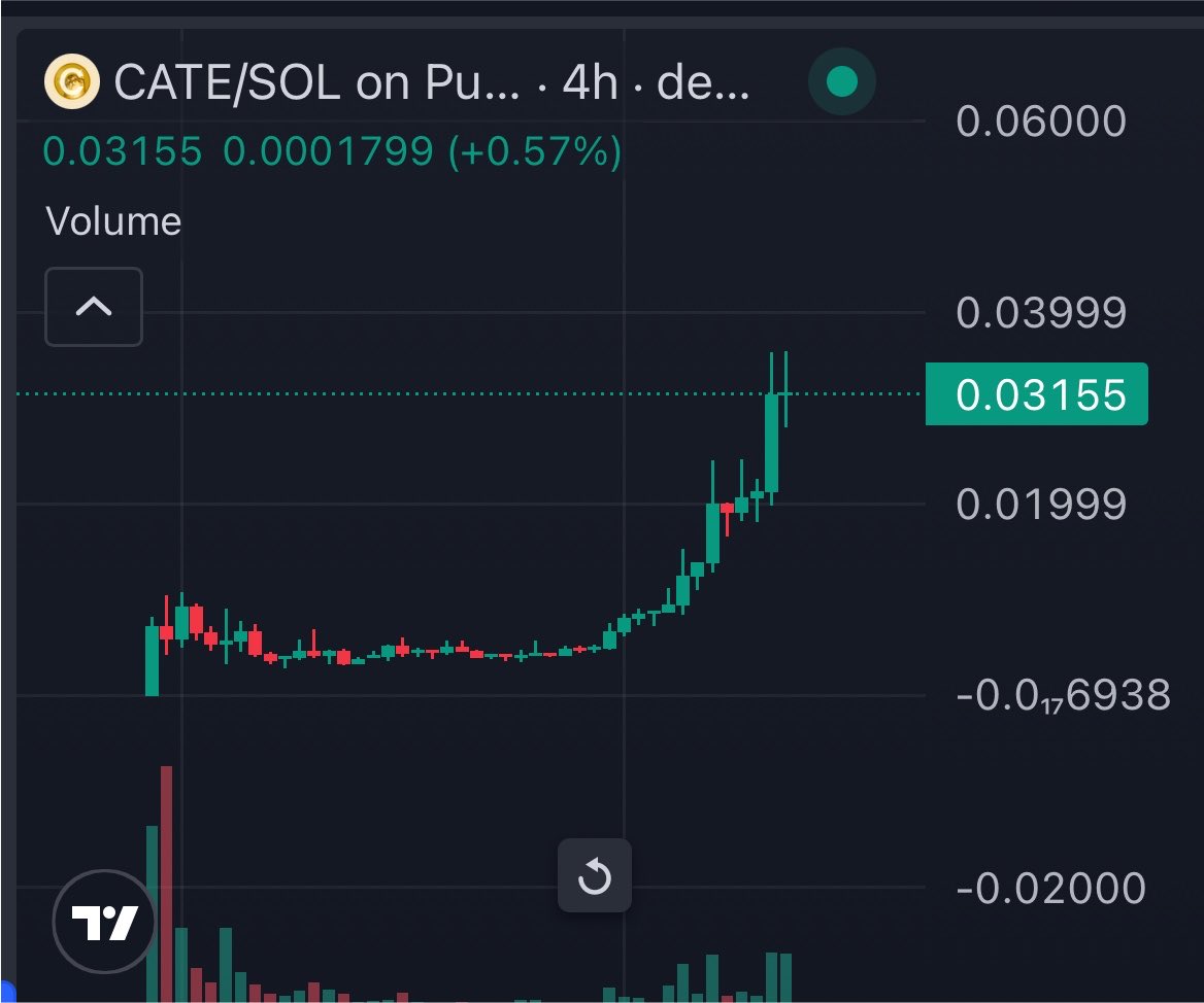 bunnycryptoCT's tweet photo. Still have opportunity to grab $CATE under 100m mcap. 

Don’t be sidelined 

Be the part of most hated rally. 

Let’s unite together and send it to Valhalla. https://t.co/T3WZRSOi3k