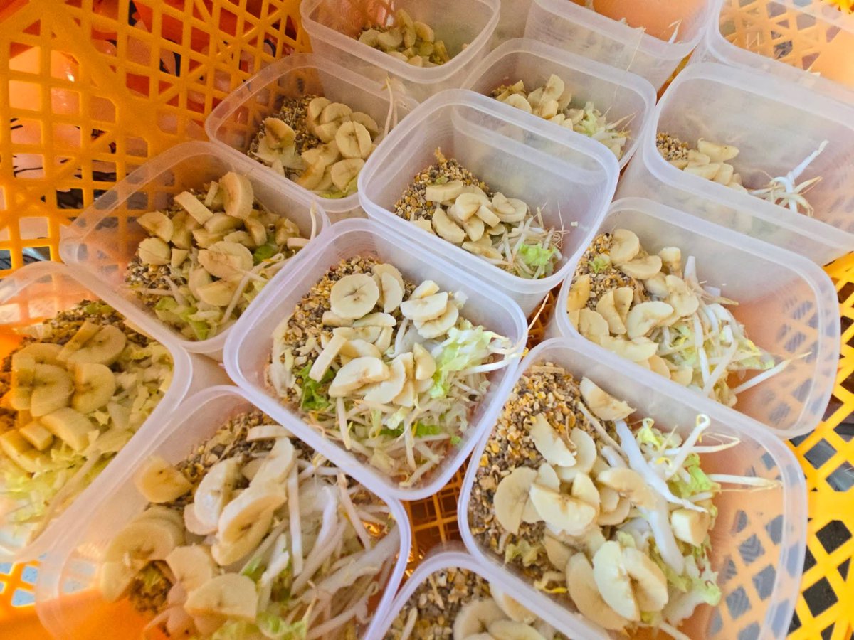 LOfndnUtstj7z8V's tweet photo. ご飯投稿をサボってしまいました💦

🍌バナナ
木崎さん、野底さんからいただきました。

🧊お豆腐
お名前の記載はありませんでしたが、いただきました。ありがとうございます！

🥚卵
軍鶏メスのみんなと、ボリスブラウン、アローカナのみんなから🥚✨

🥬お野菜
火曜日・水曜日ピカイチにてイオンで購入しました。
・もやし
・レタス
・白菜

そして、トッピングチケットをご購入くださった皆さま、本当にありがとうございます🙇‍♀️

皆さまの応援のおかげで、今日もみんながお腹いっぱい食べることができています。
いつも支えていただき、本当にありがとうございます😊