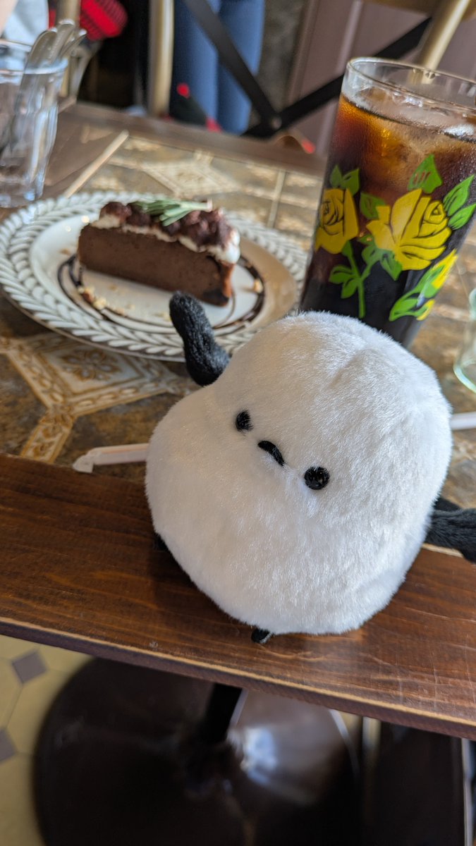 Sprout_ha2Ga's tweet photo. それはそうとこの前猫カフェに行ったから見てくれ https://t.co/ldFPvb4UbT