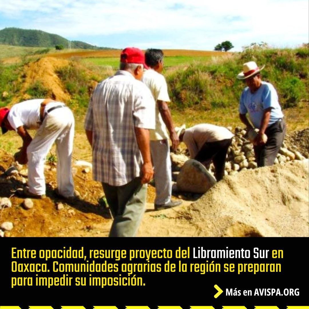 Avispa_Midia's tweet photo. Sin consultar a las comunidades, gobierno inició trámites para obtener derecho de vía para el Corredor Vial Binnizá, antes conocido como Libramiento Sur

Lee el texto completo:
👉🏼 https://t.co/L2Swh7YDtb 🐝

#Oaxaca #LibramientoSur #CorredorBinniza https://t.co/Q363sUnV14