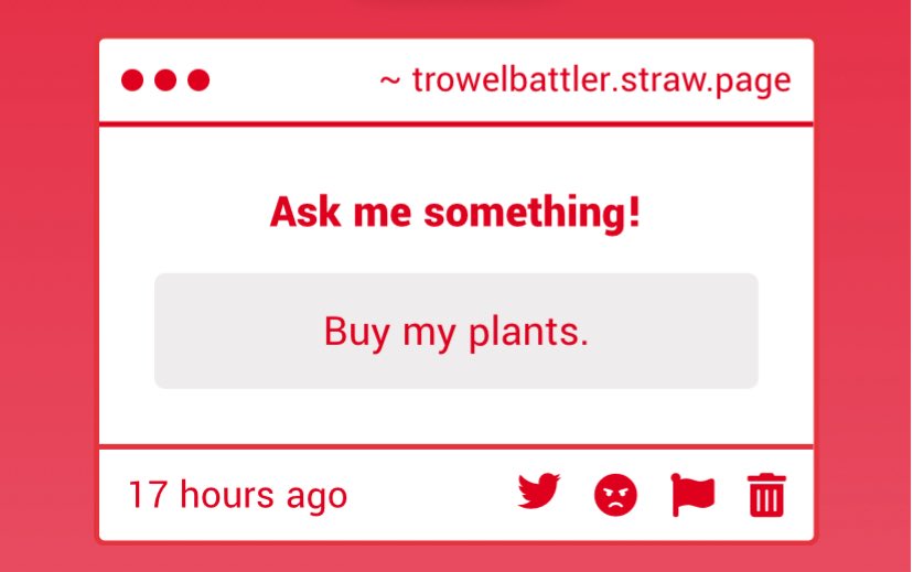 W4LLBU1LDER's tweet photo. Does anyone know who this person could be?? I am very curious. And … a little concerned! 

And no!! I will not be buying your plants and that is final!! 😠😤 https://t.co/9fQZmEtXeK