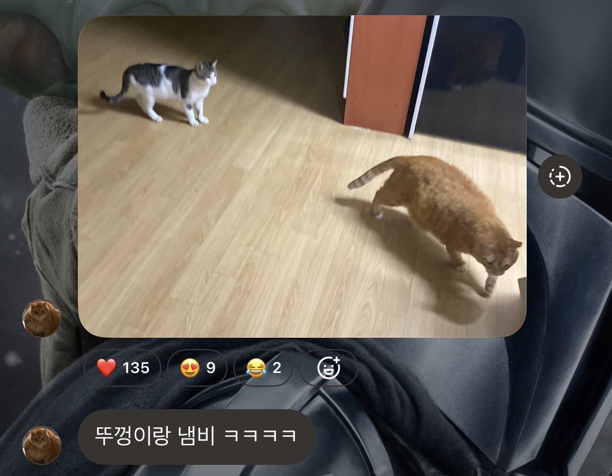 gudoknyang1001's tweet photo. 헐.. 충격적 
뚱껑이와 국자도 존재했다니... https://t.co/2xpNZLNgnC