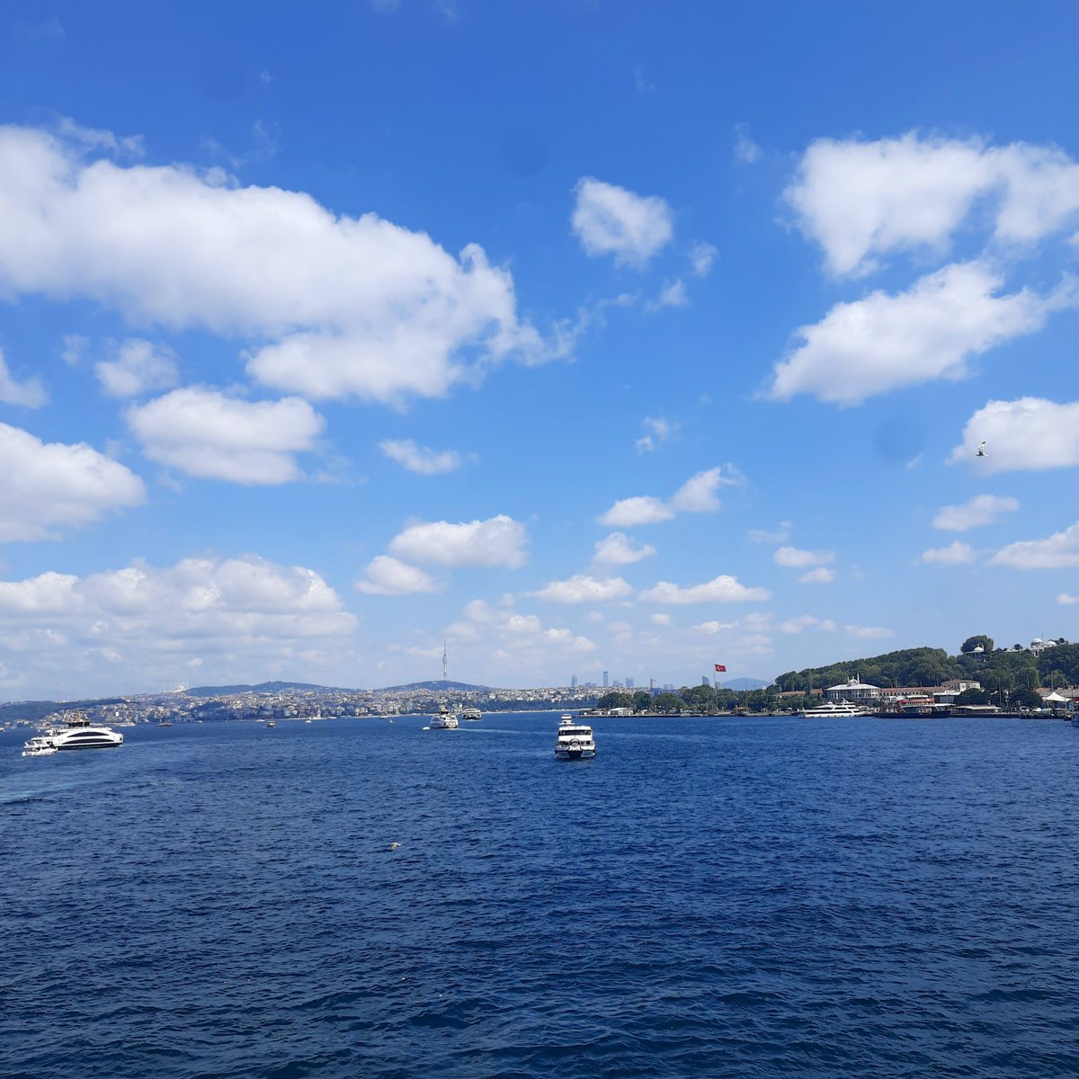 uzaylibiirdeli's tweet photo. İstanbul'26 https://t.co/Iem8fCt8Ul