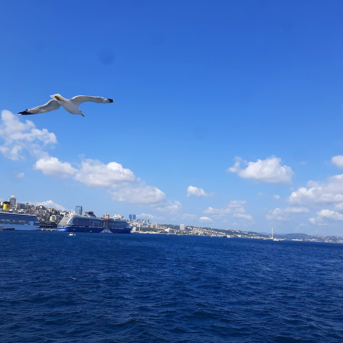 uzaylibiirdeli's tweet photo. İstanbul'26 https://t.co/Iem8fCt8Ul