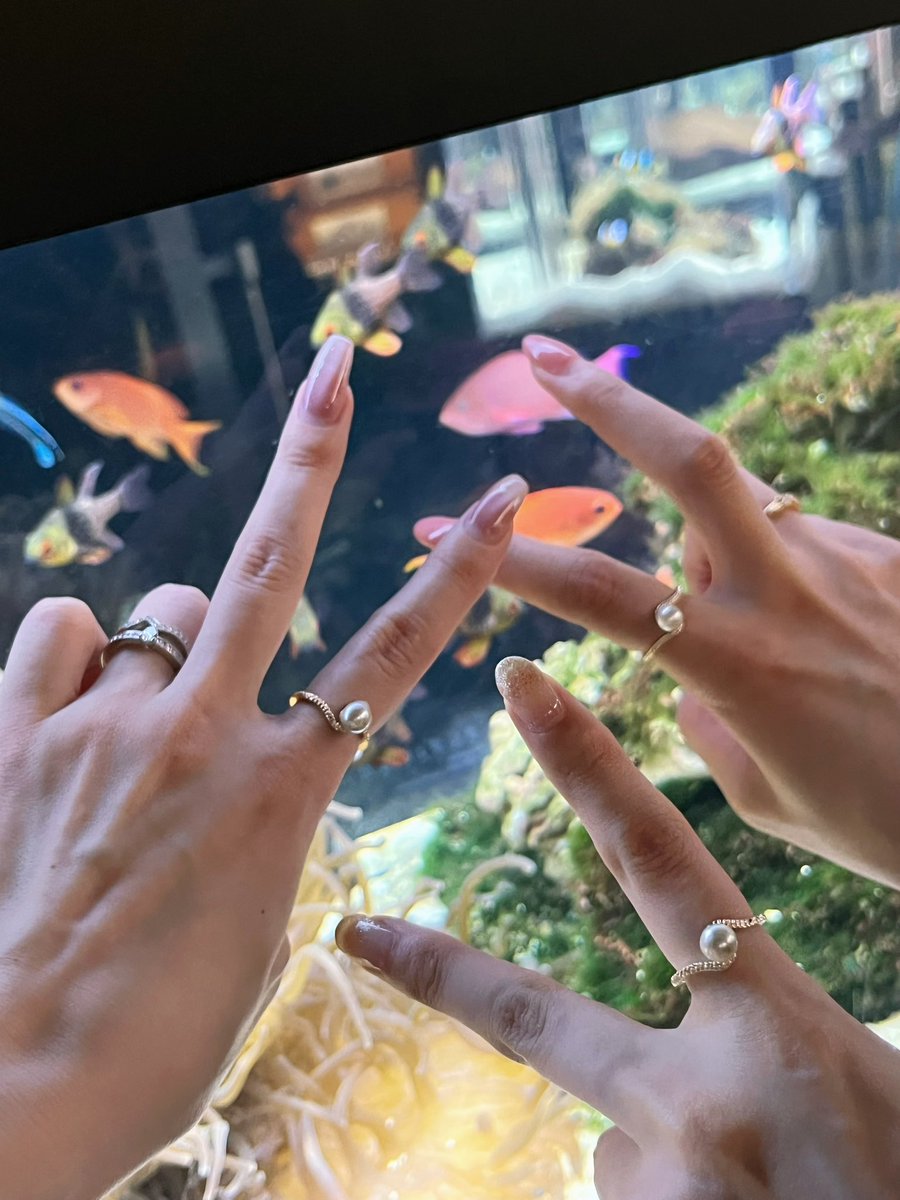 selierchan's tweet photo. 京都水族館の真珠取り出し体験楽しい🦪

5分くらいで終わるしその場で加工もしてくれるから、友達とお揃いでリングにしてもらった🤍 https://t.co/0O2pYoUoxE