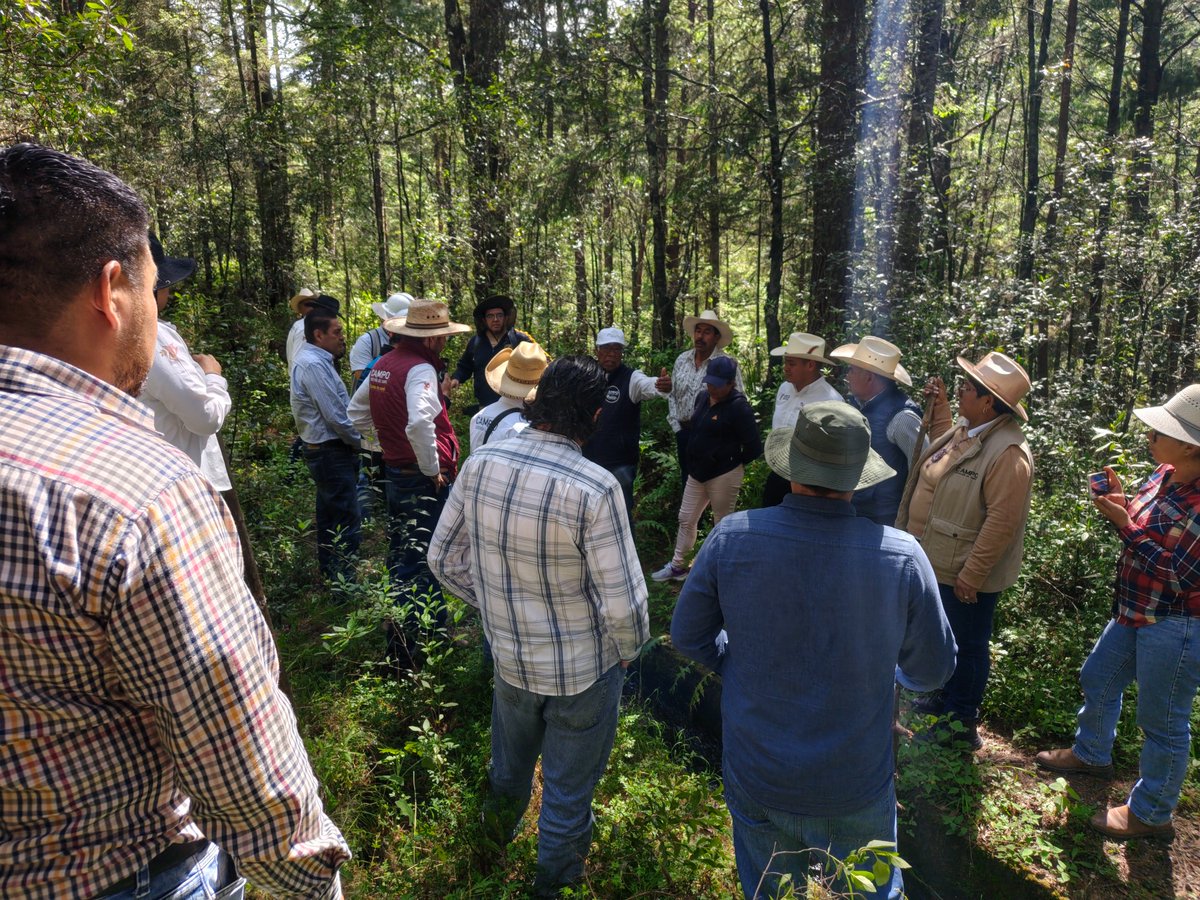 ContraloriaGEM's tweet photo. La vigilancia preventiva fortalece la transparencia en la obra pública. 🔍

El OIC en la #SECAMPO participó en la visita al sitio de los trabajos y en la junta de aclaraciones de una Licitación Pública Nacional de Obra Pública para una obra en el municipio de Villa del Carbón. https://t.co/NnP8F26zOS