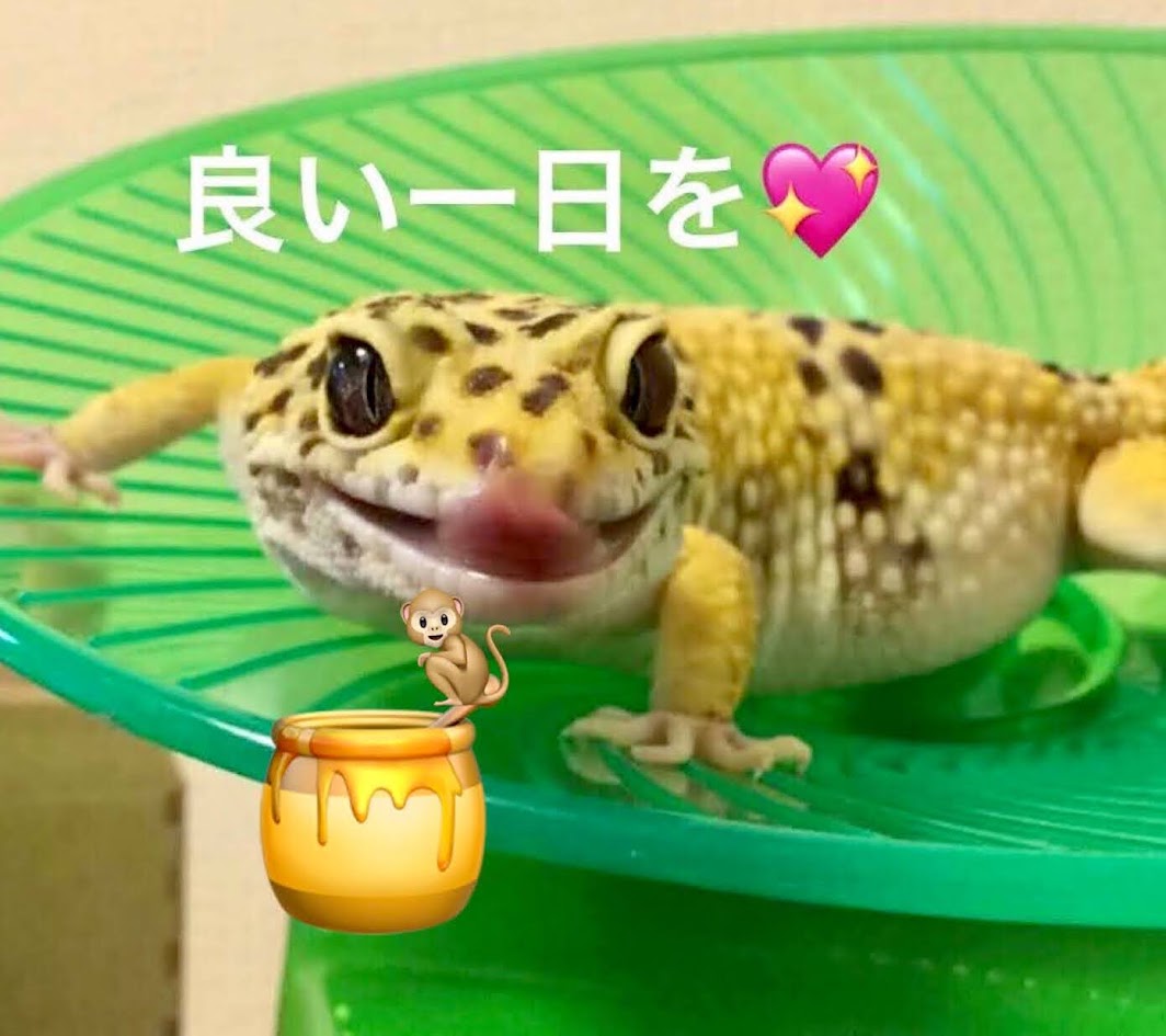 toskalt8513's tweet photo. おはようございます😀 #けつようび 🍑
今週も元気に宜しくお願いします🍀
8月3日は？ #はちみつの日 🍯で #八丁味噌の日 あと #ハイサワーの日 🍸
味噌カツ食べながら蜂蜜レモンサワー飲む日かもね😁
それでは、皆さん素敵な1日を✨💕
https://t.co/vKHuMCzQu1 https://t.co/Gjs3yCASlv