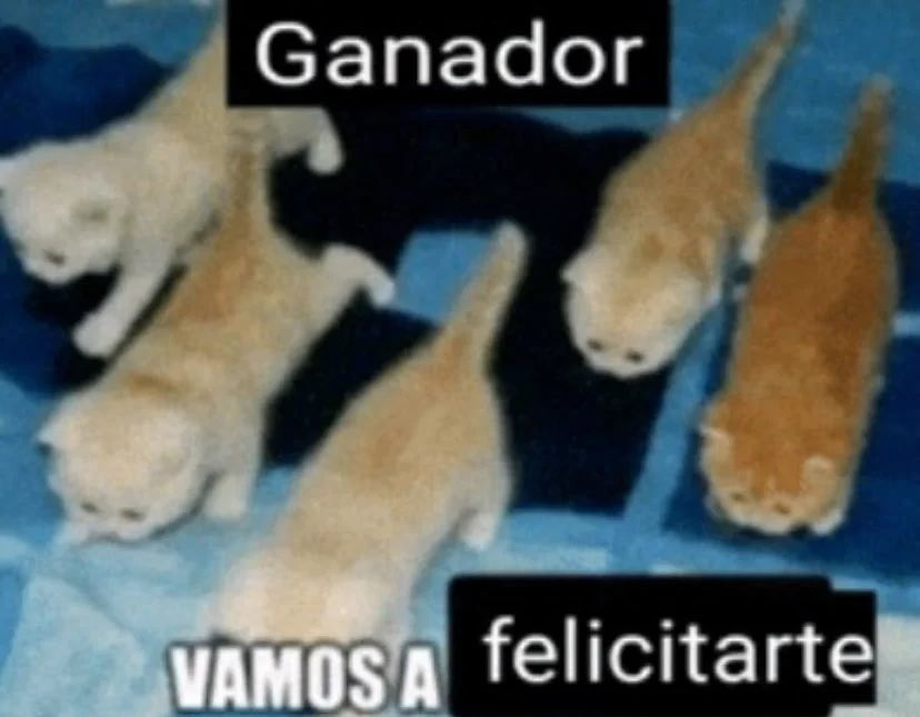 qtDrox's tweet photo. @skullygoldd @Jorge_Most https://t.co/s88NWb4MW3