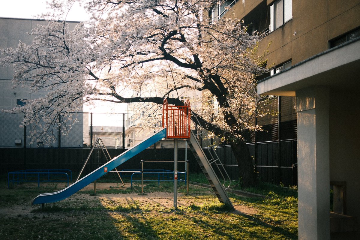 hayatu_urban's tweet photo. 京の夕焼け
#streetphotography https://t.co/M1xSdUS7JB