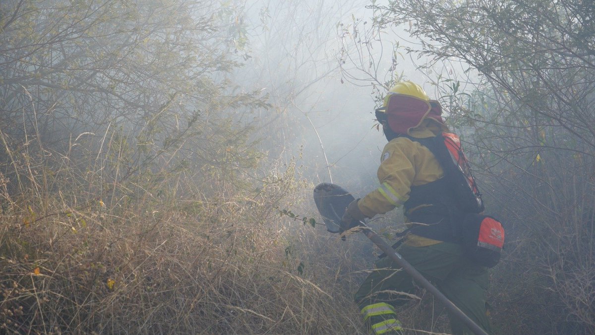 BomberosQuito's tweet photo. 🧑🏼‍🚒  #Actualización | El incendio forestal registrado en Itulcachi fue controlado gracias al trabajo de nuestro equipo de combate de incendios forestales.

⚠️ ¡Basta de quemas irresponsables! La falta de empatía de una persona puede poner en riesgo la vida de muchas, destruir nuestros ecosistemas y obligar a nuestros equipos a enfrentar emergencias que pudieron evitarse.

🔥 Cada incendio forestal tiene consecuencias. Cuidar Quito no es solo tarea de quienes combaten el fuego; es una responsabilidad de todos.

📞 Si observas una quema o una columna de humo, repórtala de inmediato al 9-1-1.

💰 Provocar un incendio forestal puede generar multas superiores a los $36.000.

#BomberosQuito #JuntosContraElFuego