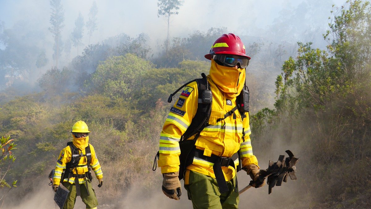 BomberosQuito's tweet photo. 🧑🏼‍🚒  #Actualización | El incendio forestal registrado en Itulcachi fue controlado gracias al trabajo de nuestro equipo de combate de incendios forestales.

⚠️ ¡Basta de quemas irresponsables! La falta de empatía de una persona puede poner en riesgo la vida de muchas, destruir nuestros ecosistemas y obligar a nuestros equipos a enfrentar emergencias que pudieron evitarse.

🔥 Cada incendio forestal tiene consecuencias. Cuidar Quito no es solo tarea de quienes combaten el fuego; es una responsabilidad de todos.

📞 Si observas una quema o una columna de humo, repórtala de inmediato al 9-1-1.

💰 Provocar un incendio forestal puede generar multas superiores a los $36.000.

#BomberosQuito #JuntosContraElFuego