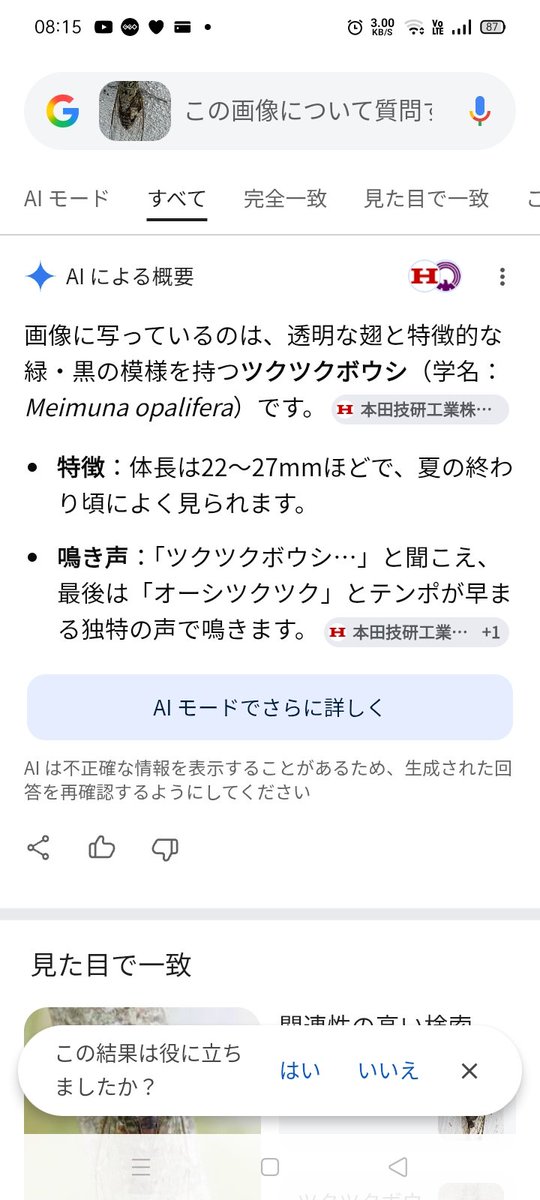 もがが tweet media