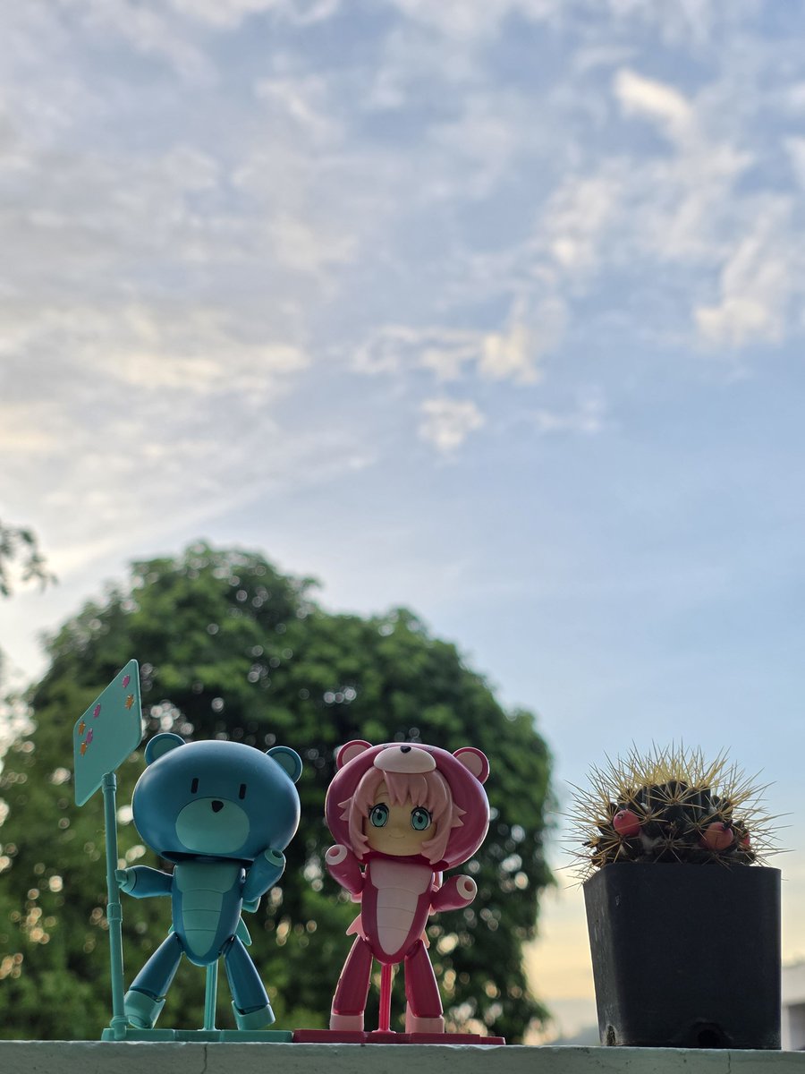 Jihiro9's tweet photo. ☀️G o o d  m o r n i n g☀️
☕️เริ่มต้นวันใหม่ ด้วยความสดใส พร้อมรับมือกับงานวันแรก ยิ้มง่ายๆ ทานของอร่อย🍩 มีความสุขตลดวันค่ะ🌻

โมเดลหมีพลาโมซีรีส์ High Grade Petit'gguy (HGPG) จากอนิเมะซีรีส์กันดั้ม Gundam Build Fighters / Gundam Build Divers แบรนด์ Bandai โดยมีชื่อรุ่นอย่างเป็นทางการ
▪︎ตัวสีฟ้า (ซ้าย): HGPG 1/144 Petit'gguy Divers Blue & Placard หมีน้อยสีฟ้าที่มาพร้อมกับป้ายถือสกรีนลายดาว
▪︎ตัวสีชมพู (ขวา): HGPG 1/144 Chara'gguy Momo คัสตอมโมเดลสวมชุดหมีสีชมพูของตัวละคร "โมโมะ" (Momo) นางอกจากภาค Build Divers