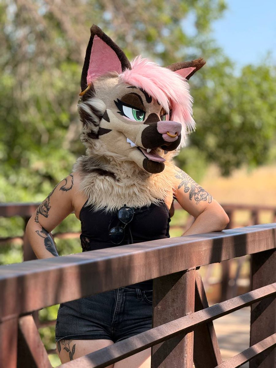 lilmeanyeen's tweet photo. cute face, sharp attitude 🦷 https://t.co/fAsg3HjFuA