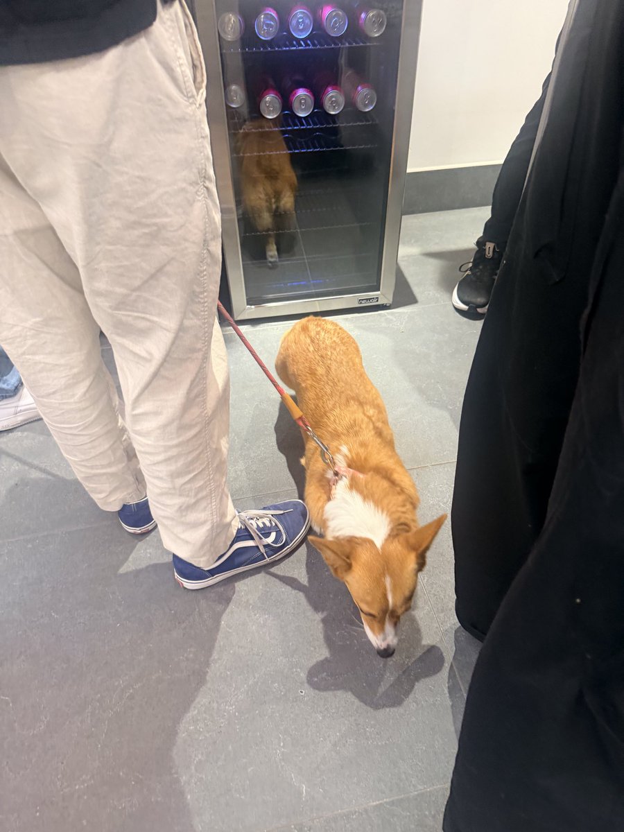 tweetclarita's tweet photo. @UseCorgi new cafe is incredible im obsessed https://t.co/l4aK8zzJXC