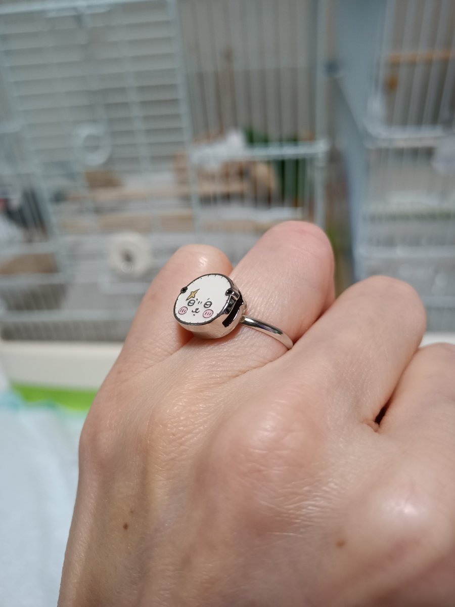 kuromimigen10ha's tweet photo. もう日常なので。出勤します！！！　チャームを魔改造して指輪にしたラッコ先生を見てください！！！！！ https://t.co/Y1jFTEjDt1