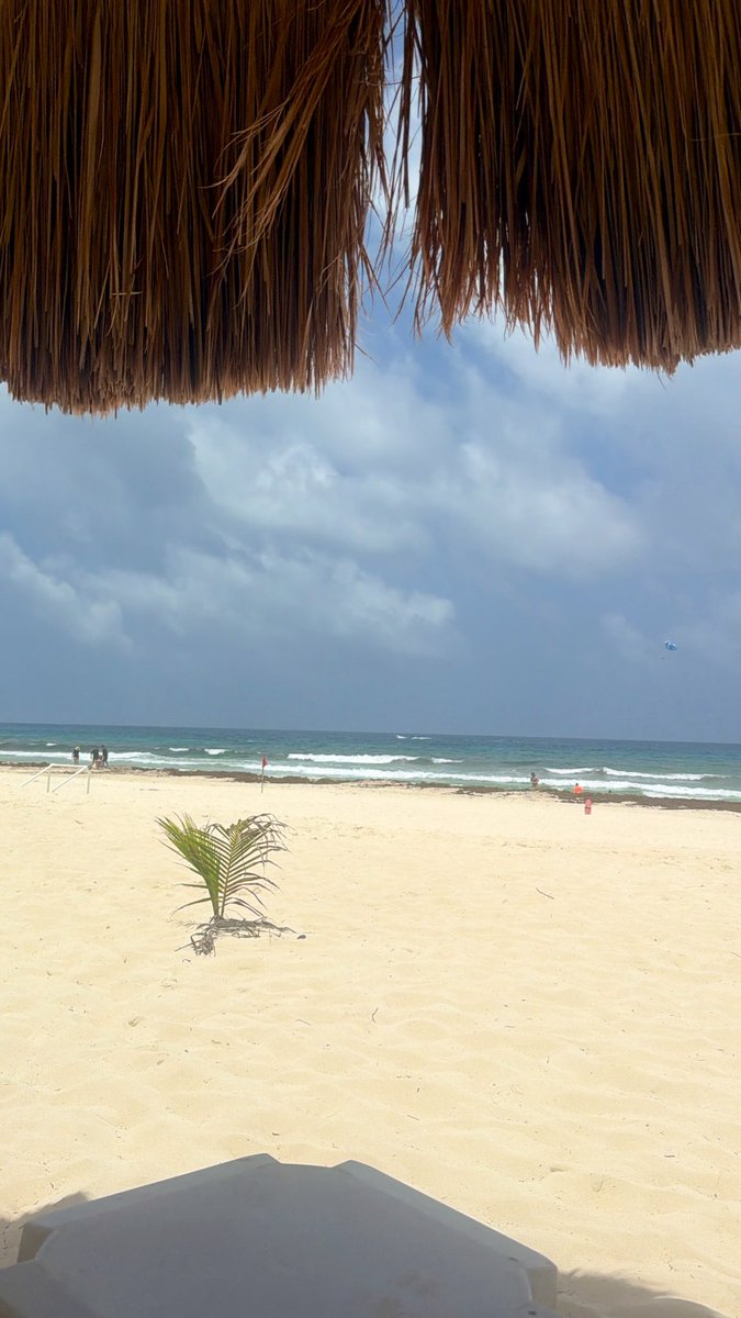 Doctora_Sol tweet picture