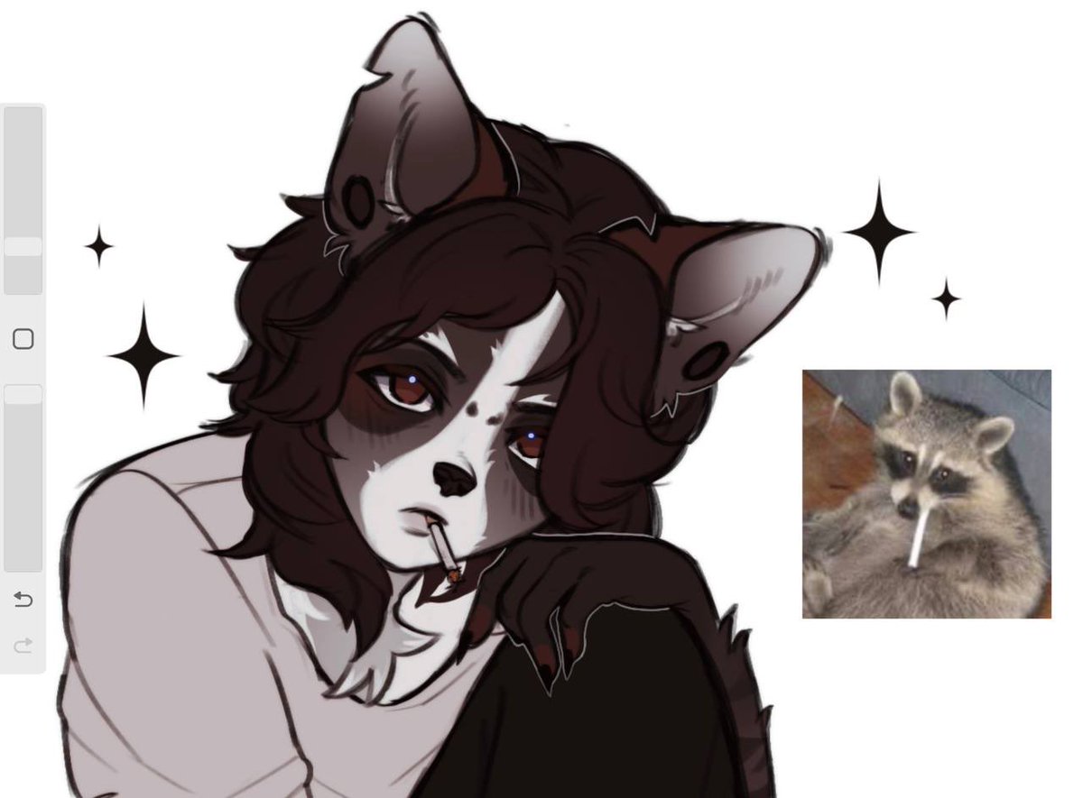 strwnsia's tweet photo. your sign to befriend that furry artist so they can turn you into a fluffy raccoon!
★  #furry #furryart  ★ https://t.co/2VaZKmHzQA