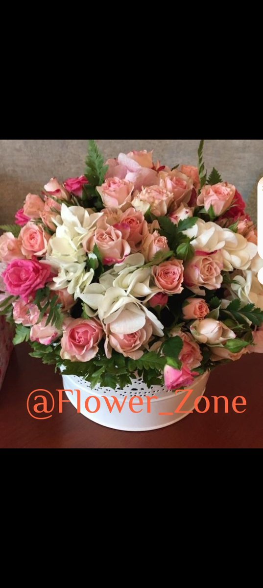 Flower_Zone's tweet photo. حياكم بالموقع الإلكتروني الجديد مع خدمة التصميم بالذكاء الاصطناعي: 

https://t.co/I785Irofn3

#فلاور_زون #ورد_الكويت #السالمية #Q8 #هدايا_الكويت #الكويت_الآن #مناسبات #Flower_zone #kuwai https://t.co/i0IzhQVBPt