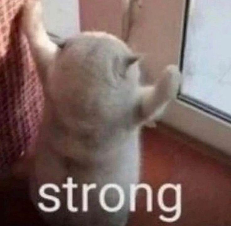 tamuKCW's tweet photo. stop hating mondays. be an adult, just hate the whole week 🤝🏻 https://t.co/J4AmVgTfBF