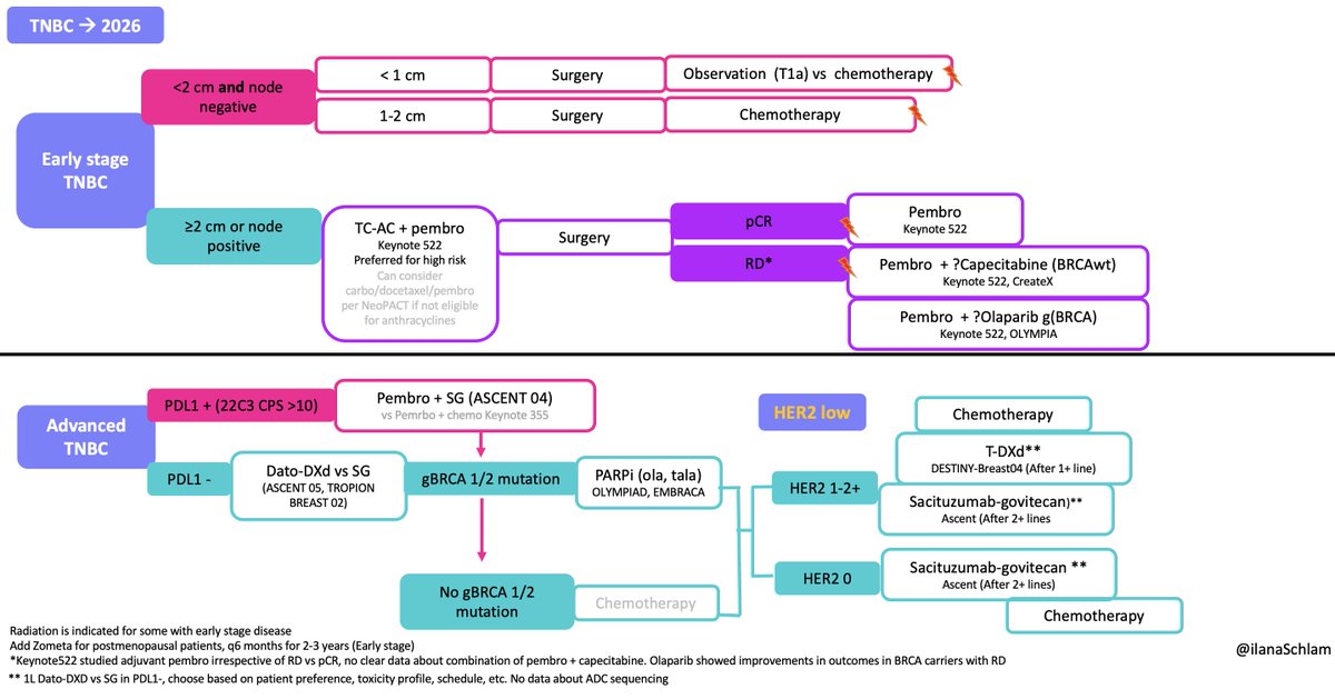 IlanaSchlam's tweet photo. With 6 FDA approvals in breast cancer already in 2026, it was time to update the breast cancer treatment algorithms. It's a great problem to have when innovation is moving so fast that it's hard to keep up   #bcsm @OncoAlert  @DFCI_BreastOnc https://t.co/9cO6pzxddO