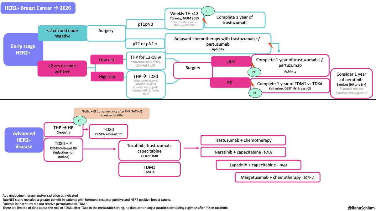IlanaSchlam's tweet photo. With 6 FDA approvals in breast cancer already in 2026, it was time to update the breast cancer treatment algorithms. It's a great problem to have when innovation is moving so fast that it's hard to keep up   #bcsm @OncoAlert  @DFCI_BreastOnc https://t.co/9cO6pzxddO