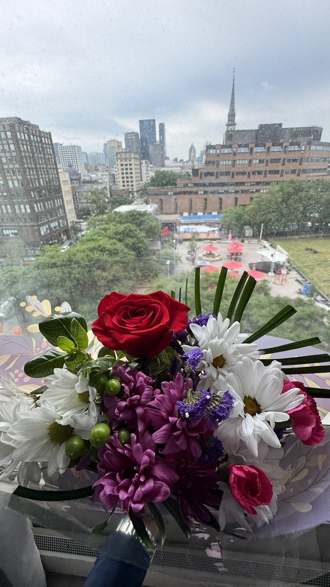 FannyAaGg's tweet photo. Amo las flores❤️🥰 https://t.co/3t9oOSqidO