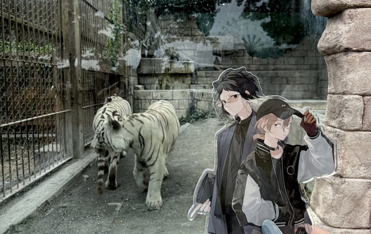 bns__66's tweet photo. 太『ああっ！ｱﾂｼくんじゃないか！』
敦『あれは僕じゃありませんよ！？』

芥『……人虎』
中『……ありゃ人虎じゃねぇよ』 https://t.co/QnnEjLykRJ