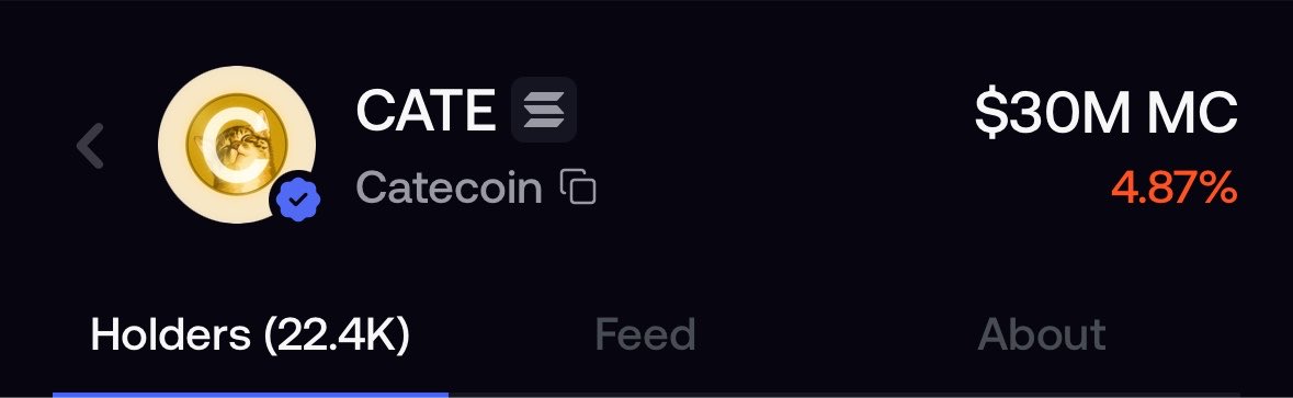 bunnycryptoCT's tweet photo. Imagine the hype of a coin here. 

$CATE with 22k fomo holders and 30m mcap.

$ANSEM with 26k fomo holders 200m mcap. 

Just getting started guys. 

Most hatted rally is just started cooking. https://t.co/eMLo8Pliz3