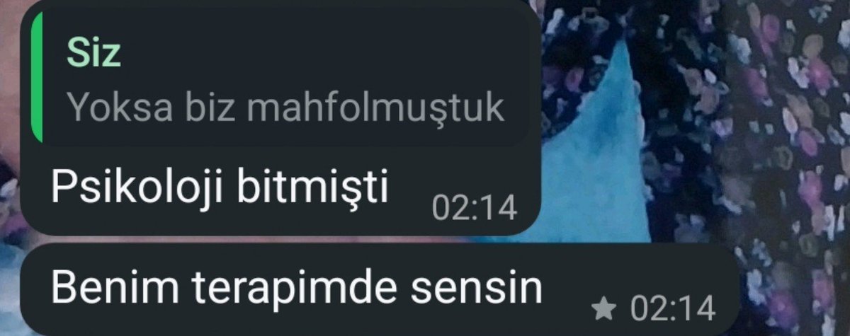 alemdeviraneyim's tweet photo. SAFİŞİMMMMMMMMM https://t.co/YpSK0R5pfM