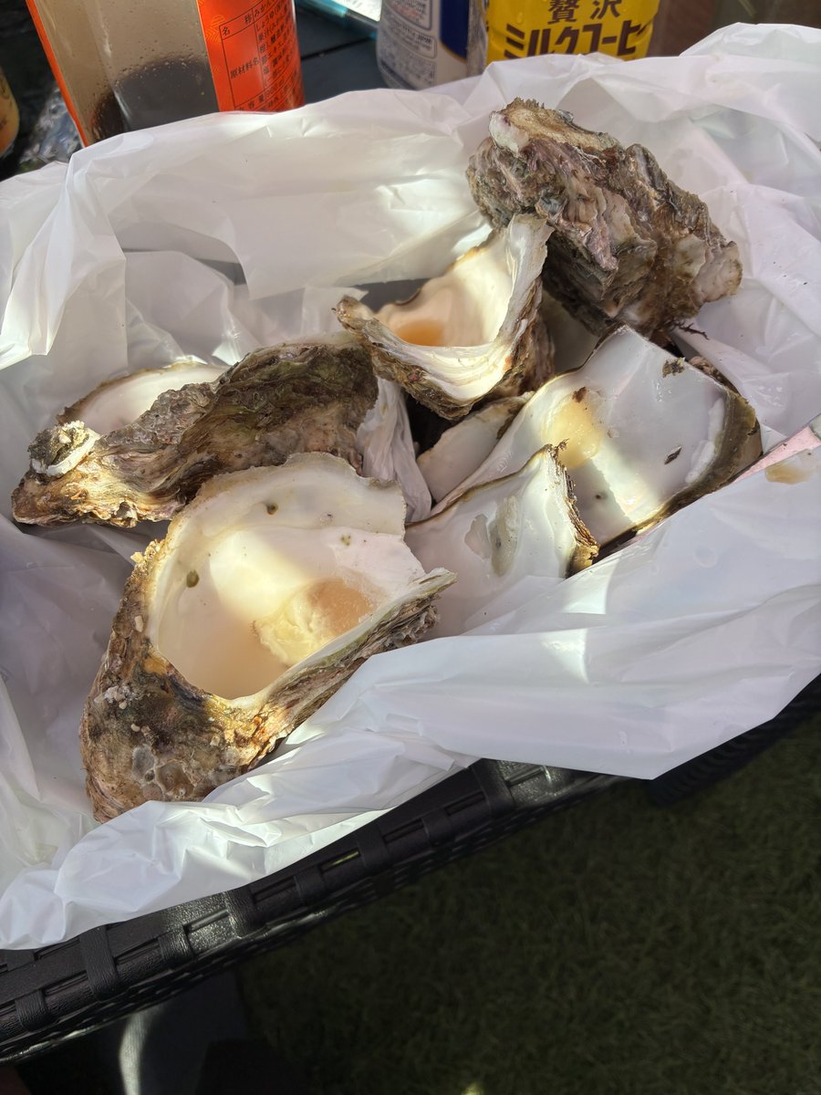 ammichimot's tweet photo. 牡蠣を食べた https://t.co/PBNyeWEagP