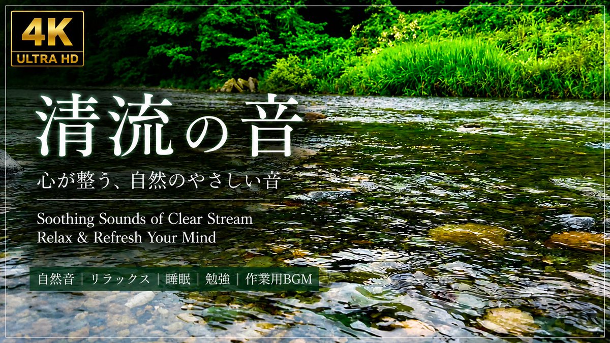 QuietJapanan's tweet photo. Escape into the peaceful sounds of a crystal-clear stream.
Let the gentle flowing water help you relax, focus, sleep, or simply unwind.

▶️ Watch now:
https://t.co/bMHyoZpQrR

#NatureSounds #River #Stream #Relaxation #Sleep #Study #4K #自然音 #��流 #せせらぎ #睡眠用BGM #作業用BGM https://t.co/Z4VL0WWG1e