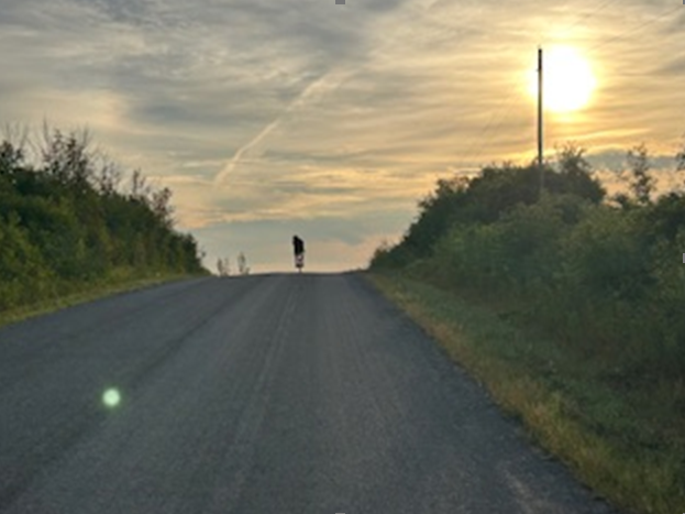 defeatduchenne's tweet photo. We’re just weeks away from Brian Connor’s 18th Annual Rice Lake Challenge: https://t.co/mrXJSNklYy 

It’s almost here! And the Rice Lake gang are closing in on an incredible milestone: $500,000 raised!

💙 Register or donate today! https://t.co/JLKRDbrL9A