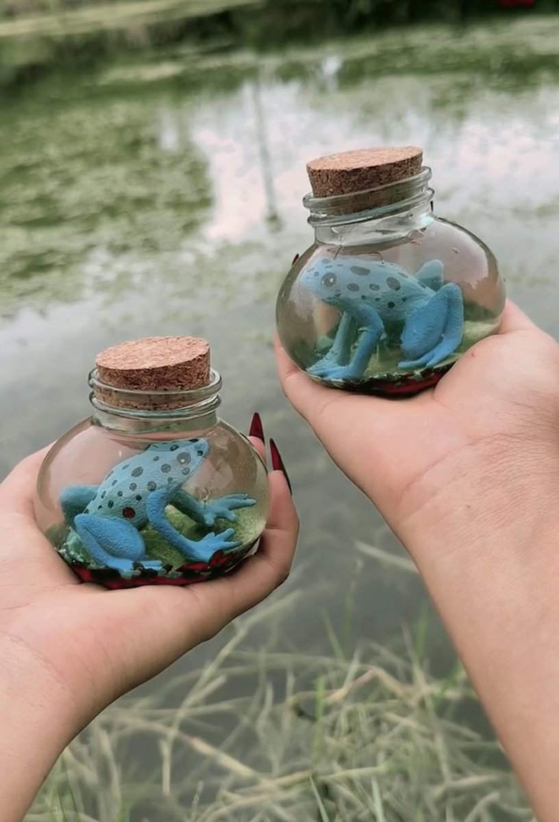 ehlloart's tweet photo. Frog potions🫧🐸🌿🐸🫧 https://t.co/bp5Of119bV
