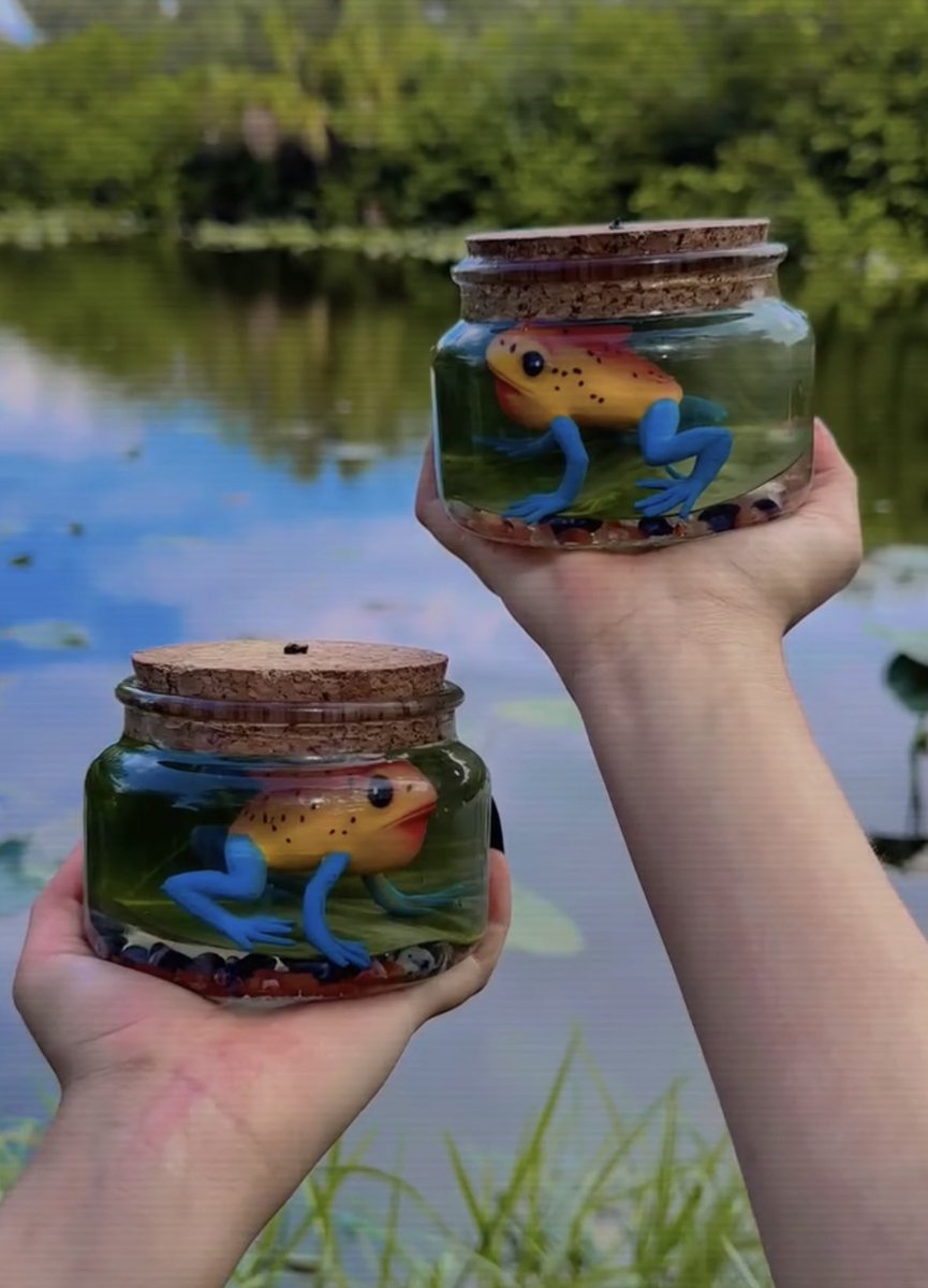 ehlloart's tweet photo. Frog potions🫧🐸🌿🐸🫧 https://t.co/bp5Of119bV