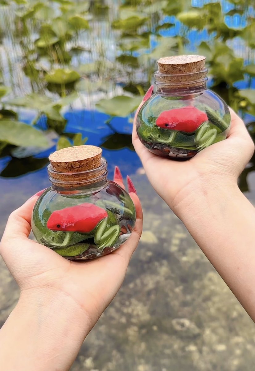 ehlloart's tweet photo. Frog potions🫧🐸🌿🐸🫧 https://t.co/bp5Of119bV