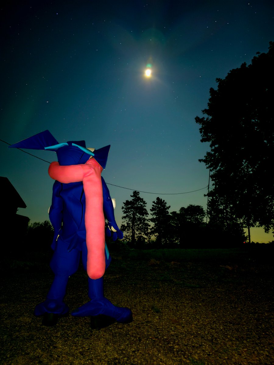 Aredy_Redler's tweet photo. Stargazer Greninja. https://t.co/EPnjN4skPG