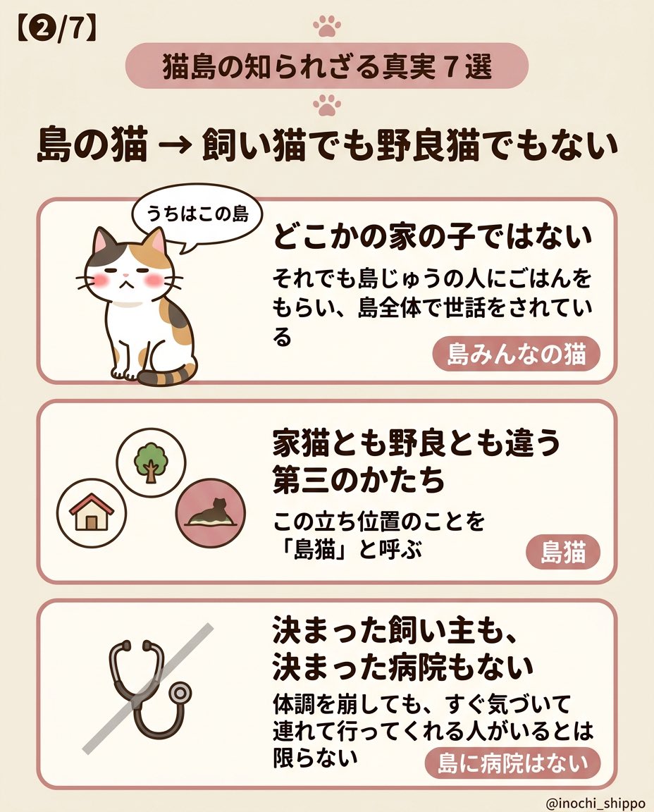 inochi_shippo's tweet photo. 【猫島の知られざる真実】

人より猫が多い島が日本各地にあります🐾

✓猫島の猫は飼い猫でも野良猫でもない
✓犬を連れて入れない島がある
✓餌やりを控える島もある
✓「猫島なら幸せ」と捨てに来る人がいる

楽園に見えて、人の手で支えられている場所です。

ブックマーク保存を📌 https://t.co/43odB8MhGr
