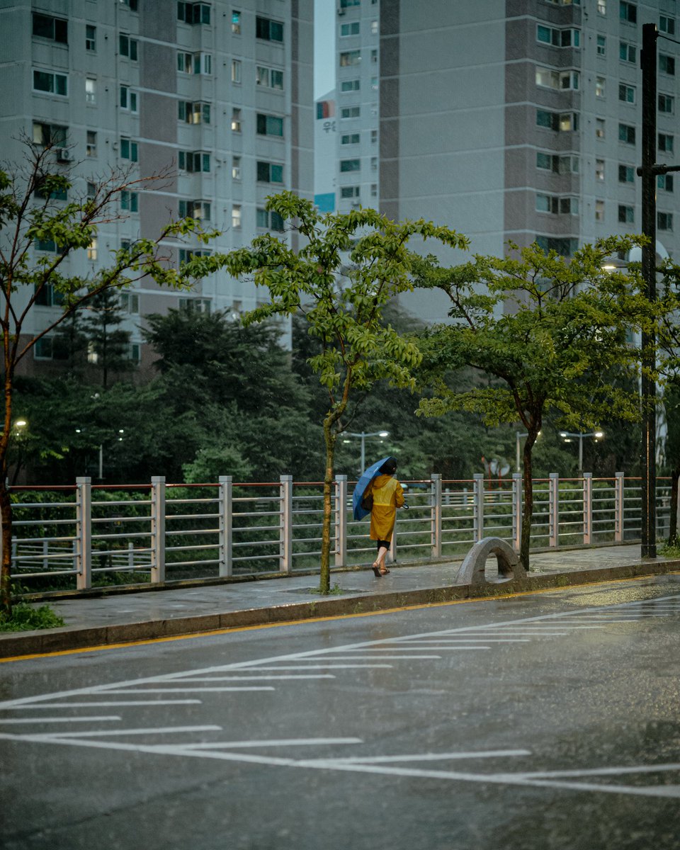 jongwoo_me's tweet photo. 노원의 장마. #LeicaM https://t.co/LUkHUrQEvH