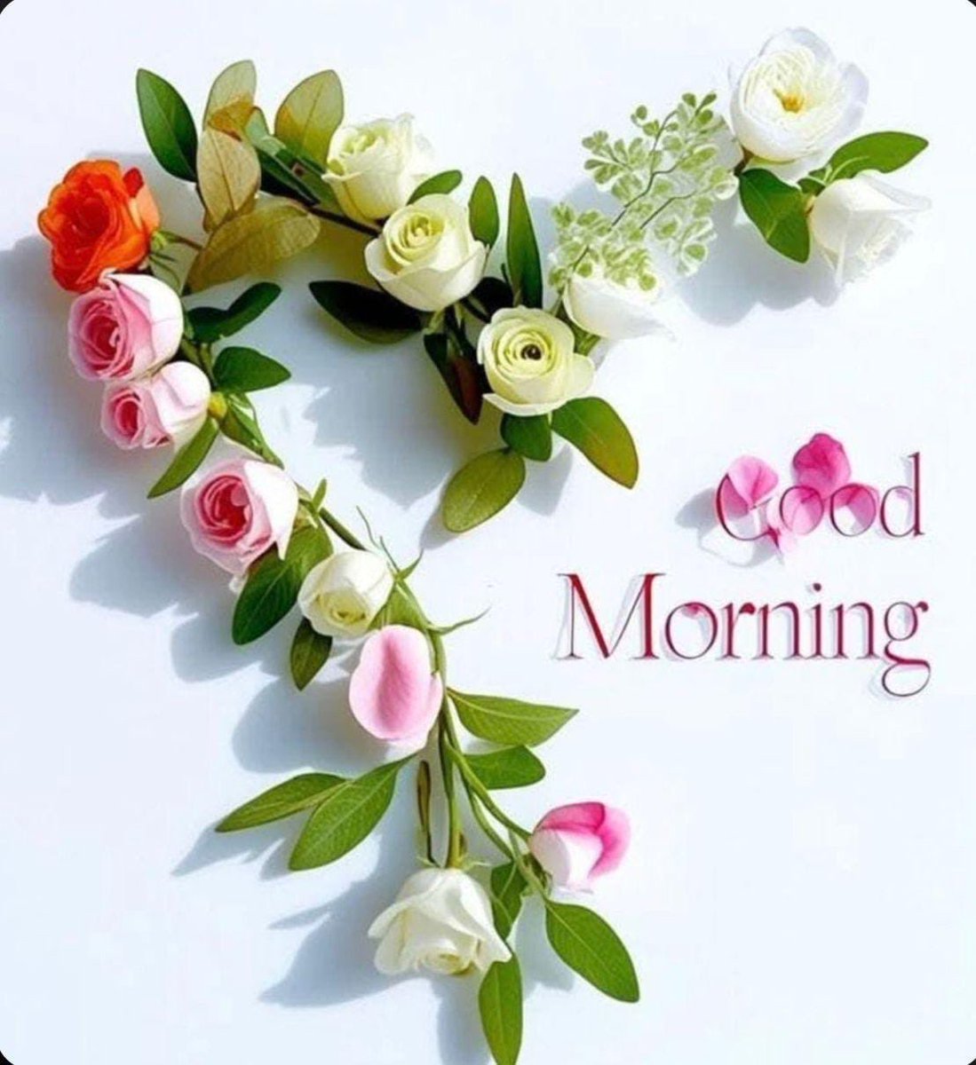 kusAujla's tweet photo. 🌺Good Morning! Happy Monday!🌺
May this Monday bring fresh energy, clear purpose, and new opportunities.
💪✨
Have a blessed and successful week ahead! 🙏
#MondayMotivation #GoodMorning #HaveAGreatWeek https://t.co/FtCe7EXct0