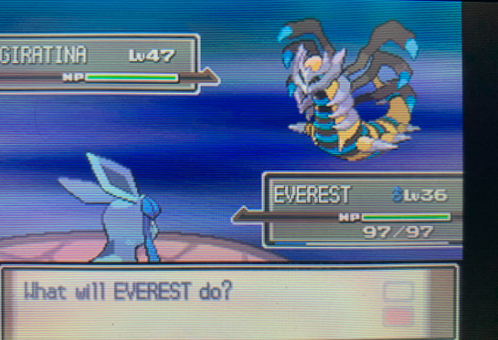 Jirachijoe's tweet photo. Fun fact my old Poke Platinum saved file I was shiny hunting Giratina & finally got it after over 1000+ attempts.... Ran out of ultra balls & was left with 10 premier (white ball) never used them before oh and BTW I used my master ball on Mesprit already sooo before anyone asks y i didn't use that first there ya go. Anyways getting back to it second to last premier ball got the catch. Thanks for the stressful flashback :)
